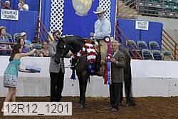 12r12_1201 proof