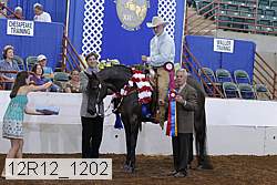 12r12_1202 proof
