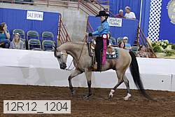 12r12_1204 proof
