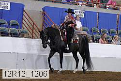 12r12_1206 proof