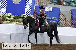 12r12_1207 proof