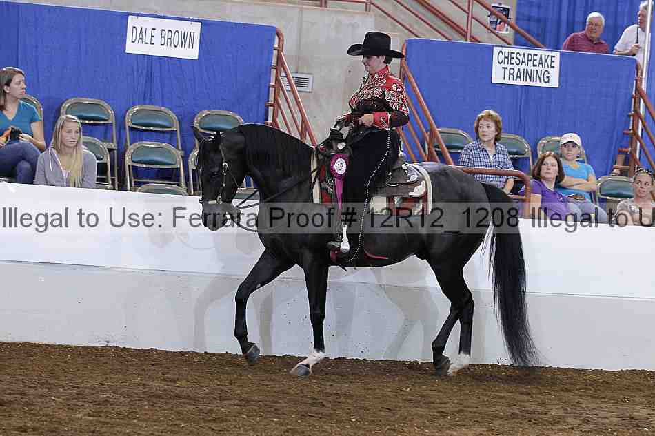 Proof 12r12_1208