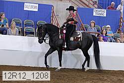 12r12_1208 proof