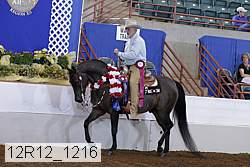 12r12_1216 proof