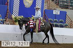 12r12_1217 proof
