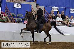 12r12_1224 proof