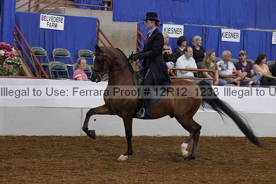 Proof 12r12_1233