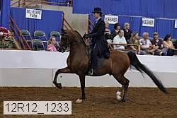 12r12_1233 proof
