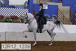 12r12_1239 proof