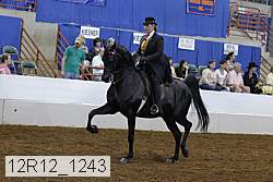 12r12_1243 proof