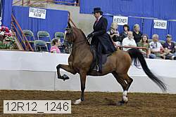 12r12_1246 proof