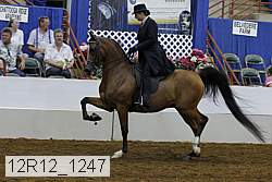 12r12_1247 proof
