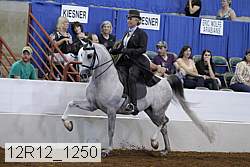 12r12_1250 proof