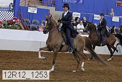 12r12_1253 proof