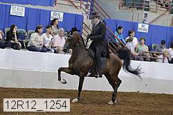 12r12_1254 proof