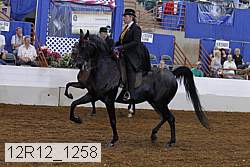 12r12_1258 proof