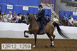 12r12_1259 proof