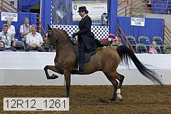 12r12_1261 proof