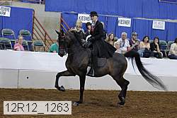 12r12_1263 proof