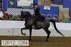 12r12_1264 proof