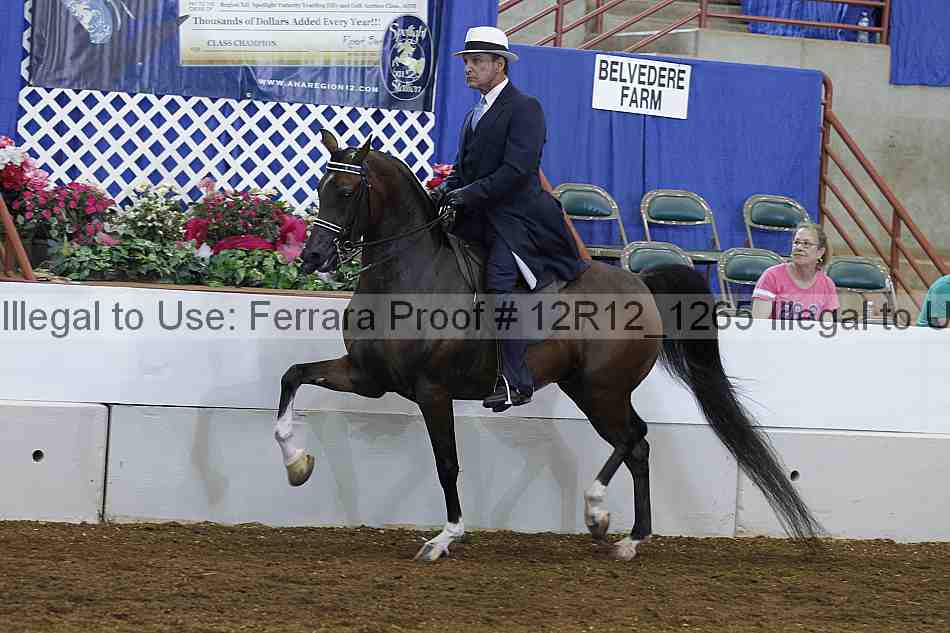 Proof 12r12_1265