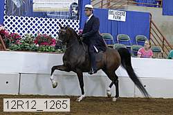 12r12_1265 proof