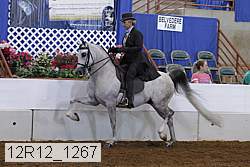 12r12_1267 proof