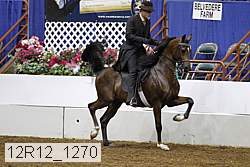 12r12_1270 proof