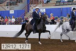 12r12_1271 proof