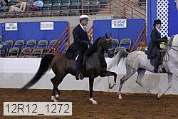 12r12_1272 proof