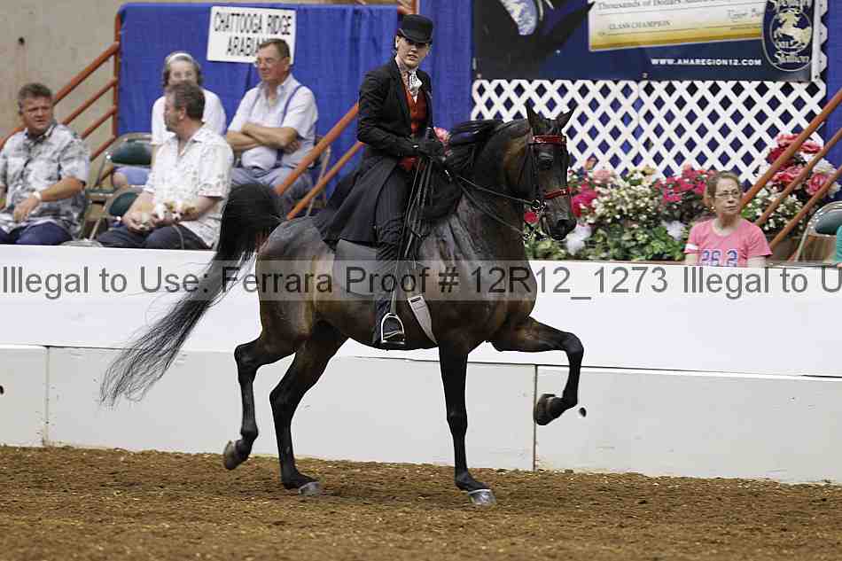 Proof 12r12_1273