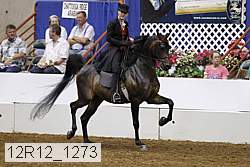 12r12_1273 proof