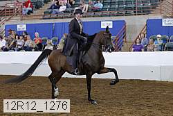 12r12_1276 proof