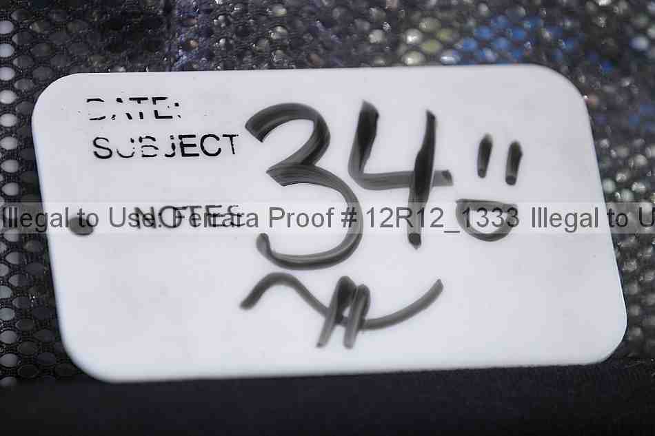 Proof 12r12_1333