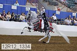 12r12_1334 proof