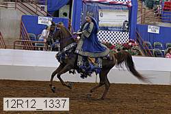 12r12_1337 proof