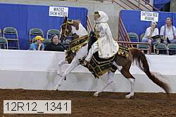 12r12_1341 proof