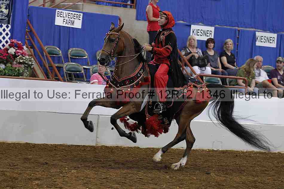 Proof 12r12_1346