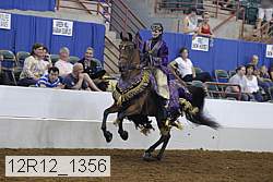 12r12_1356 proof