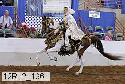 12r12_1361 proof