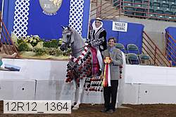 12r12_1364 proof