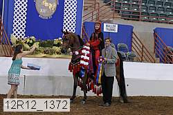 12r12_1372 proof