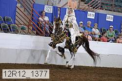 12r12_1377 proof