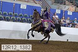 12r12_1382 proof