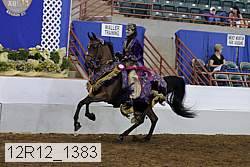 12r12_1383 proof
