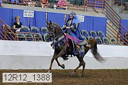 12r12_1388 proof