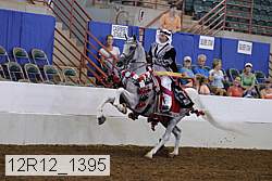 12r12_1395 proof