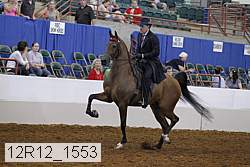 12r12_1553 proof