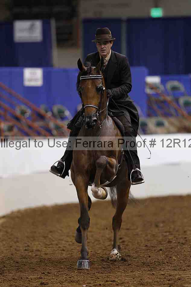 Proof 12r12_1561