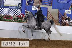 12r12_1571 proof